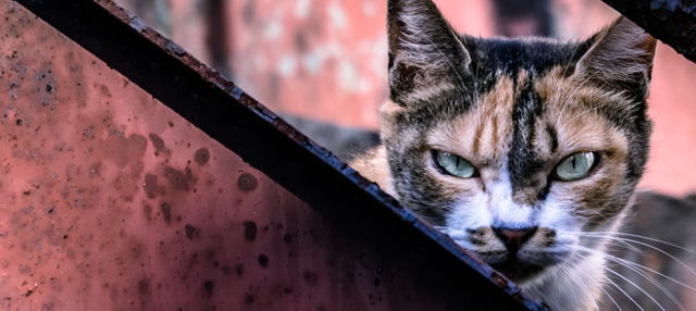 介護では言葉遣いが攻撃的になりがちです