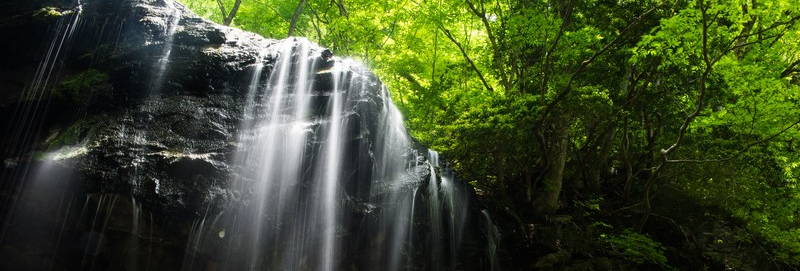 介護のイライラの気分解消には酸素ボトルかミンティアがいいです